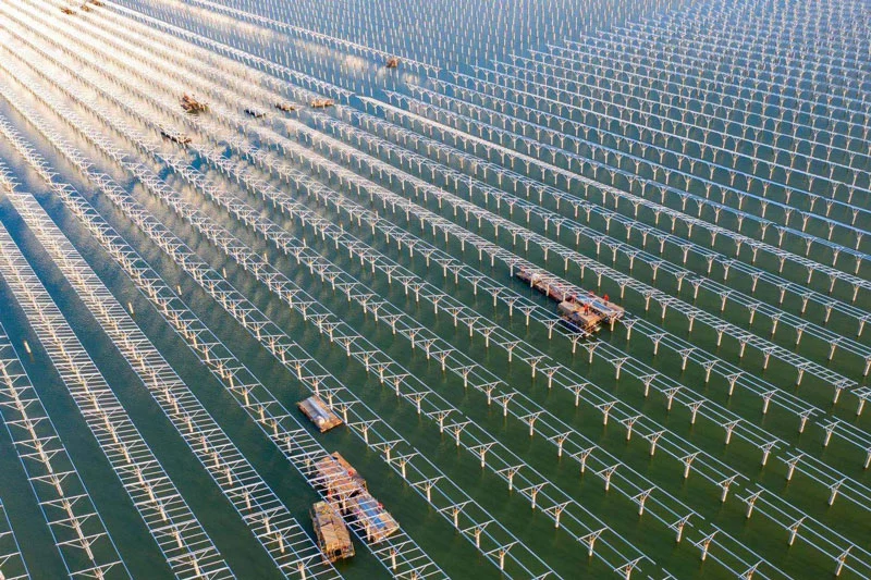 China Anhui 100MW Floating PV Station Solar System Project4